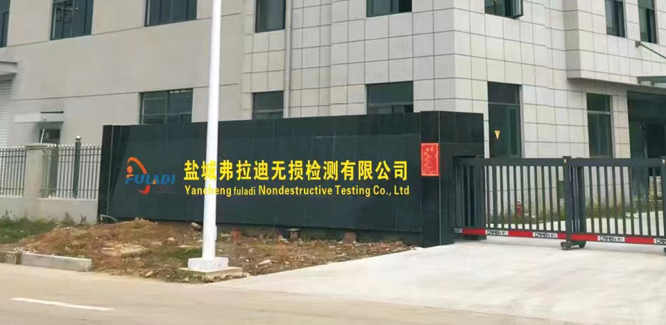 走進弗拉迪