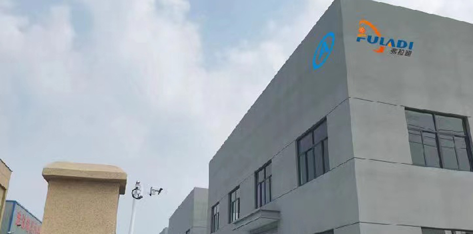 走進弗拉迪